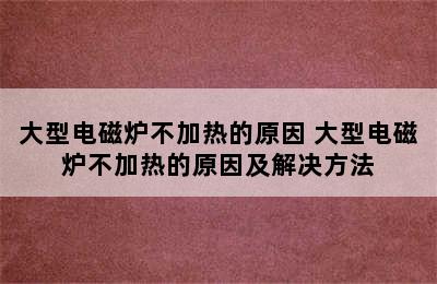 大型电磁炉不加热的原因 大型电磁炉不加热的原因及解决方法